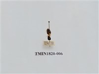 藏品(蔬菜害蟲)的圖片